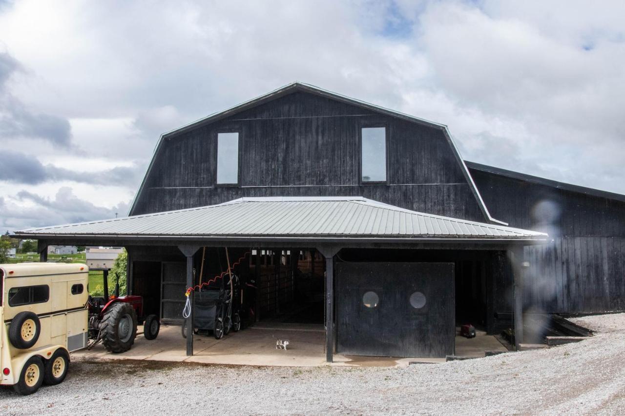 Farmhouse Of Blessings Dundee Luaran gambar